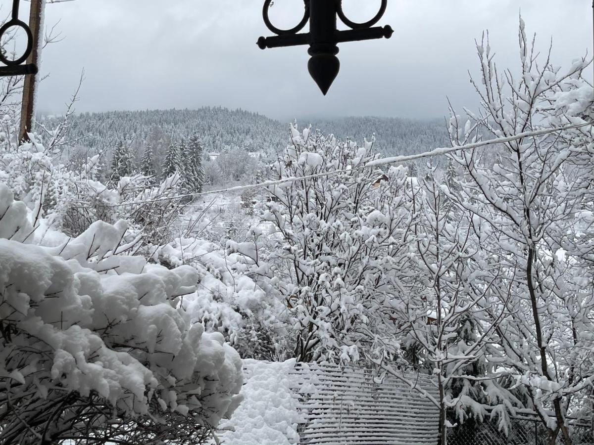 Zabava Appartement Jaremtsje Buitenkant foto