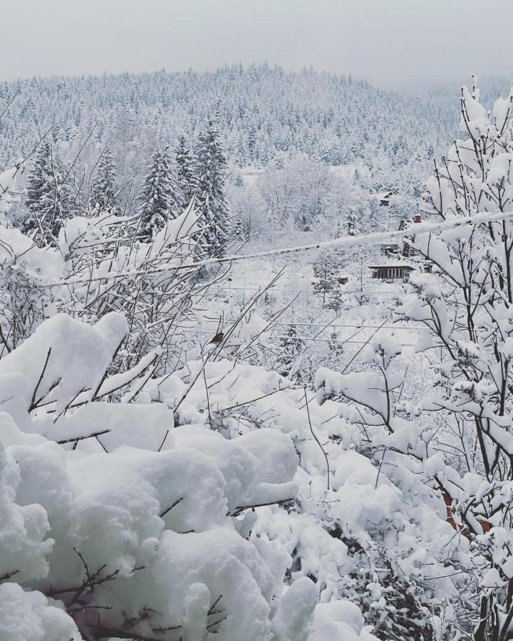 Zabava Appartement Jaremtsje Buitenkant foto