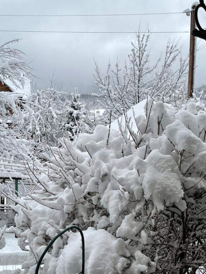 Zabava Appartement Jaremtsje Buitenkant foto